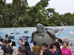 -广东惠东海龟国家级自然保护区