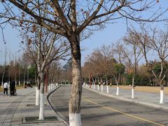 -眉山湿地公园(东坡区)