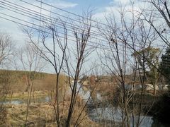 -同里国家湿地公园