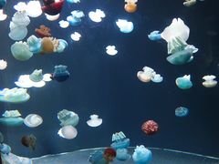 -新加坡海洋生态馆