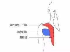 -MEGA BASE 健身馆(南山店)