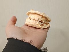 -泰康拜博口腔医院(江北总院)