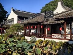 -上海醉白池公园