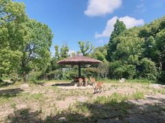 -宁波野生动物园
