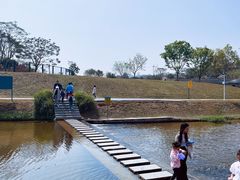 -光明小镇欢乐田园