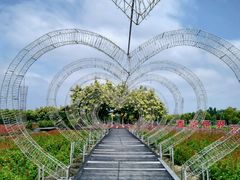 -广东花都香草世界旅游度假区
