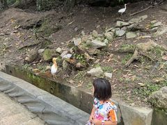 -吉隆坡雀鸟公园