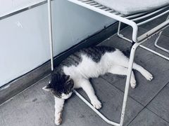 -UNI UNI(环亚凯瑟琳店)