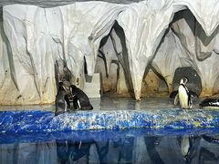 -太平洋海底世界