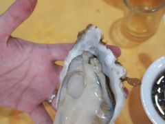 -蚝专家(北滘店)