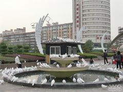-海河外滩公园