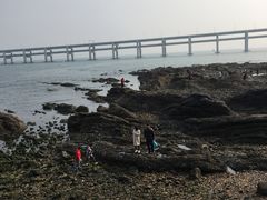 -黑石礁公园