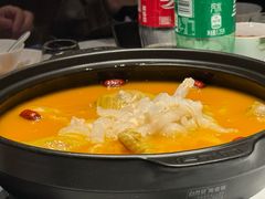 湘黄老母鸡炖花胶-宴长沙(五一广场店)