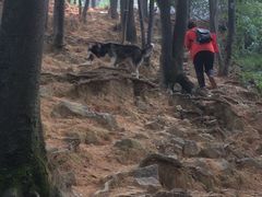 -火炉山森林公园