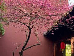 -钱王祠