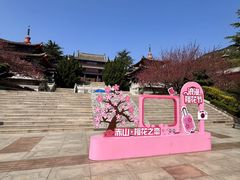 -石岛赤山风景区