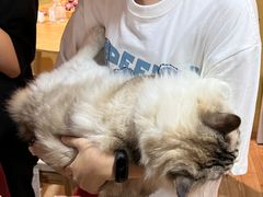 -白兔子密室(长寿路店)