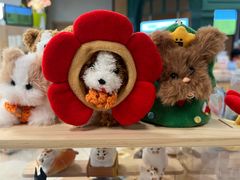 -帕帕拉兹宠物(亚洲旗舰店)