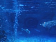 -沈阳海洋探索中心