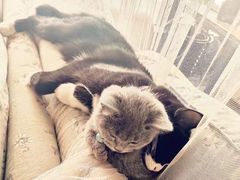 -么么咖啡(燕郊店)