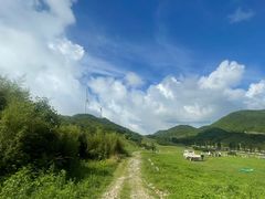 -齐岳山