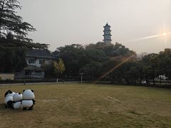 -江心屿景区