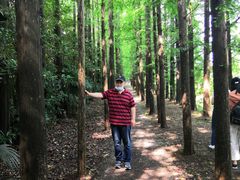 -上海长兴岛郊野公园