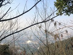 -杭州半山国家森林公园