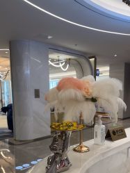 -深圳米兰柏羽医疗美容医院