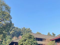 -峨眉山报国寺
