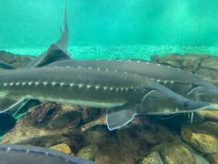 -太平洋海底世界