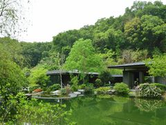 -云溪植物园