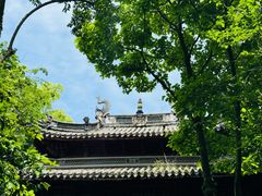 -天一阁博物院