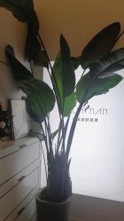 -春田皮肤管理中心品牌旗舰店