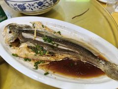 清蒸黄瓜鱼-杨南饭店·二十五年闽菜馆(凤湖新城一店)