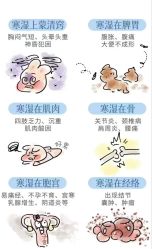 -香薇妮丝·定制减肥·身材管理