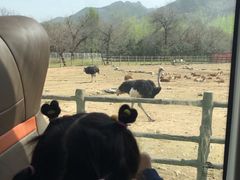 -西安秦岭野生动物园