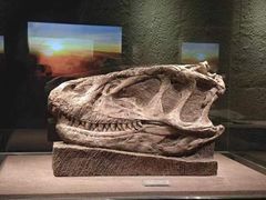 -自贡恐龙博物馆