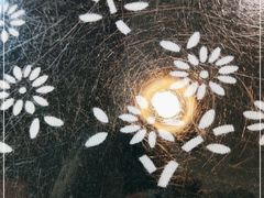 -旺角小渔村(二马路店)