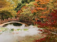 -田野绿世界