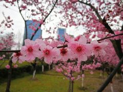 -白塘生态植物园