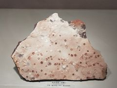 -长江文明馆