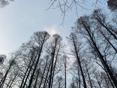-杭州西湖柳莺里酒店