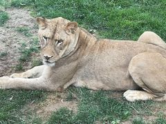 -北京野生动物园