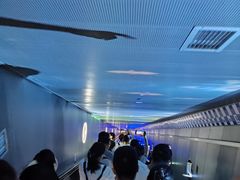 -白鹤梁水下博物馆