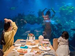 大堂-涛·海底餐厅·美人鱼·自助餐·海底隧道(三亚海棠湾洲际度假酒店)