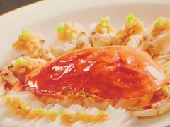-大拙里·精致融合菜(沙湖桃源国际店)