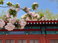 -北京古代建筑博物馆