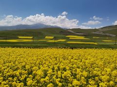 -青海湖国家重点风景名胜区