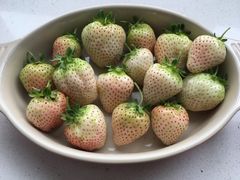 -喜杨洋草莓采摘园
